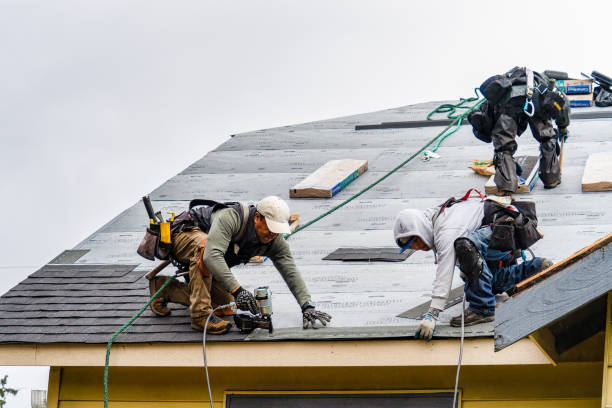 Professional Gutter Installation technician working in Roopville, GA